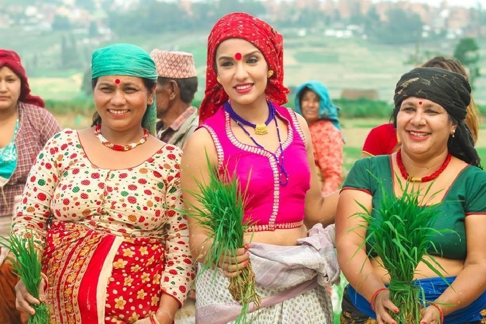 आज असार १५ , धान दिवस मनाइँदै