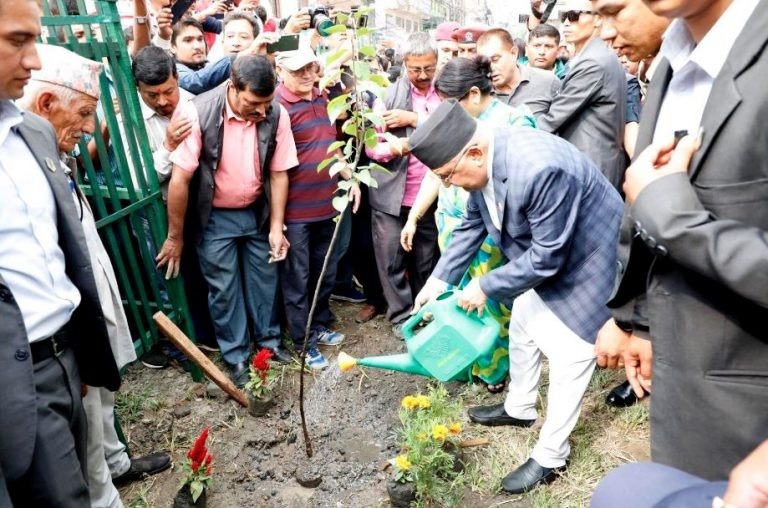 केपीले भने रुख रोपेपछी आफ्नै सन्तान सरी माया पनि दिने गरौ !