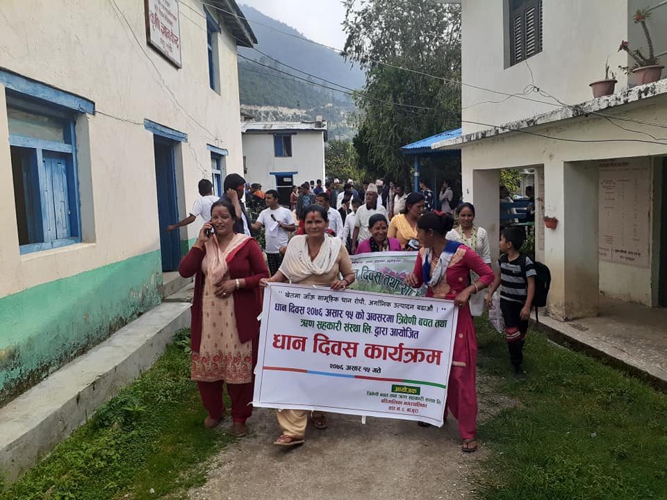 बाजुरामा पनि भव्यताका साथ धान दिवस मनाईयो (फोटोसहित)