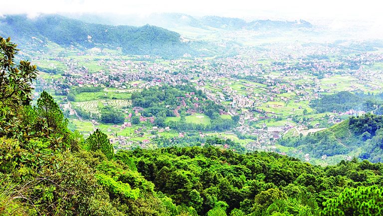 शहरमा निजी वन दर्ता गर्न आनाकानी