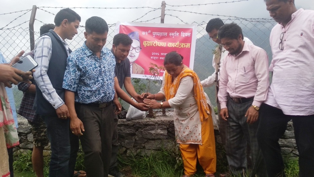 ४१ औँ पुष्पलाल स्मृति दिवसमा बाजुरा क्याम्पसमा वृक्षारोपण