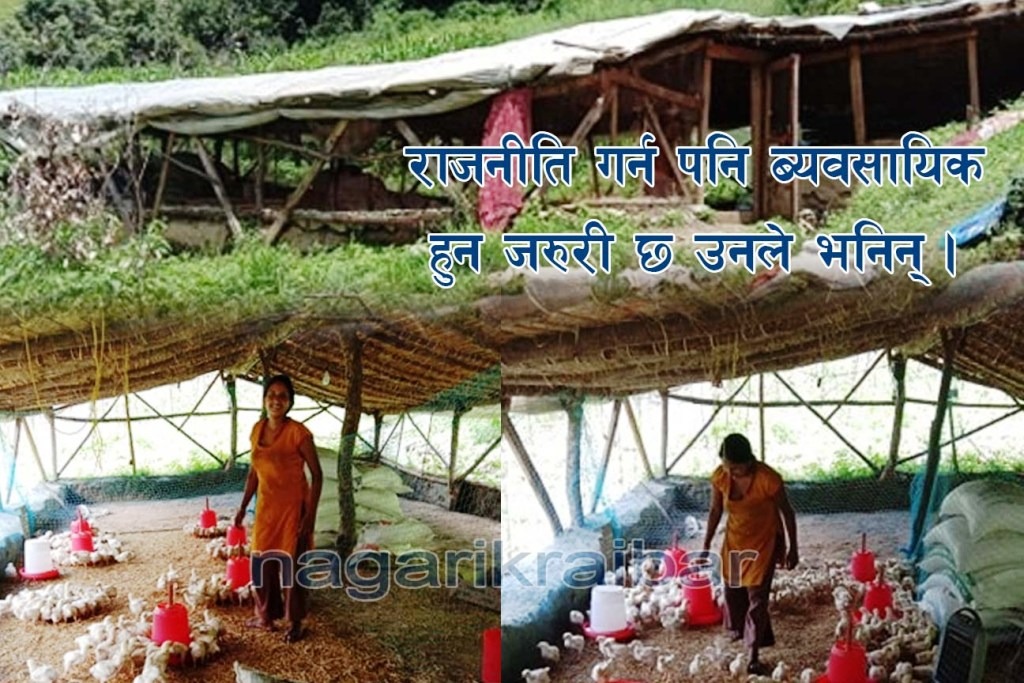 राजनीतिसंगै कुखुरा पालन व्यवसाय गर्दै धनलक्ष्मी