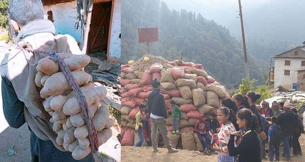 ढम्कनेमा आलुको पहाड