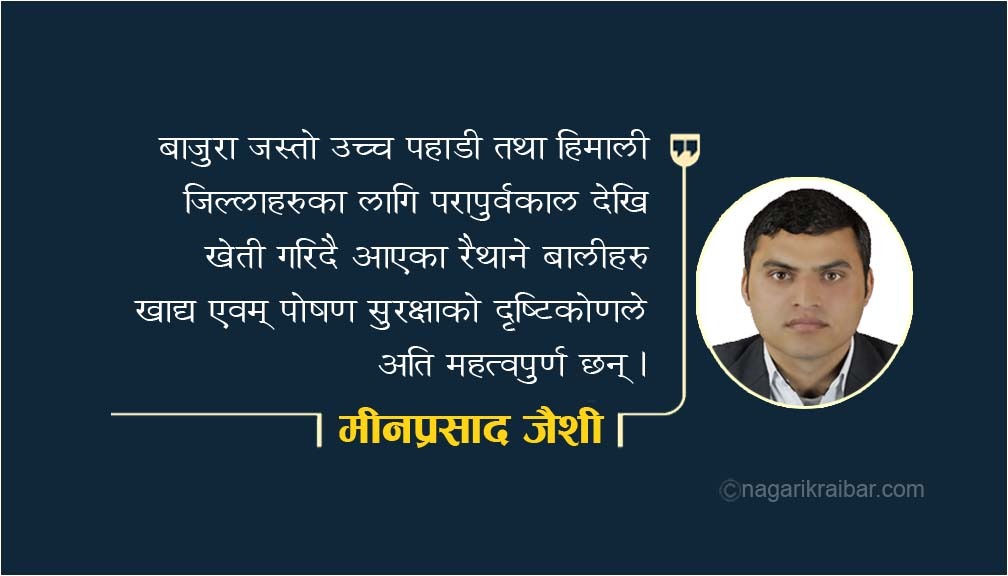 बाजुरामा रैथाने वालीको सम्भावना र भएका प्रयासहरू