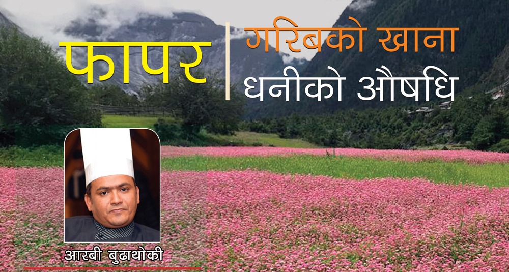 किन खाने फापर ? के-के पोषणतत्व पाइन्छ ?