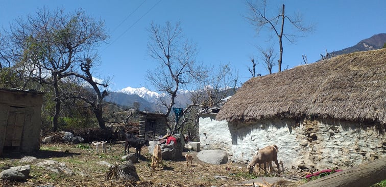 बाजुराकाे सदरमुकाम भित्रै बलेन बत्ती, ठेक्का भएको सात बर्षसम्म पनि भएन काम