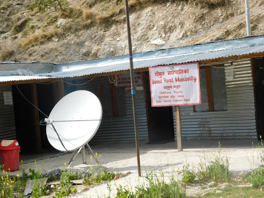 गौमुलमा एक दिने पशु स्वास्थ्य शिविर संचालन हुँदै