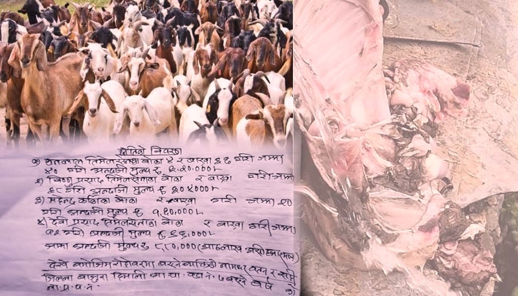 अबिरल बर्षाका कारण हिमालीमा लाखाै‌ बढीको क्षति