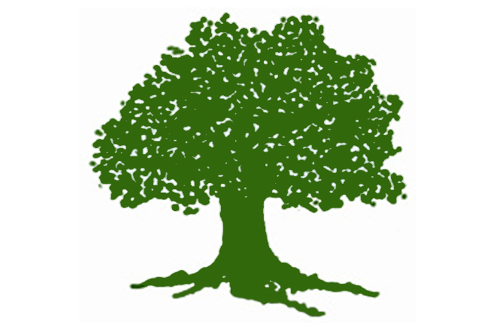 नेपाली कांग्रेस गौमुल गाउँँ कार्यसमितीले गाउँपालिकालाई ज्ञापनपत्र बुझायाेे