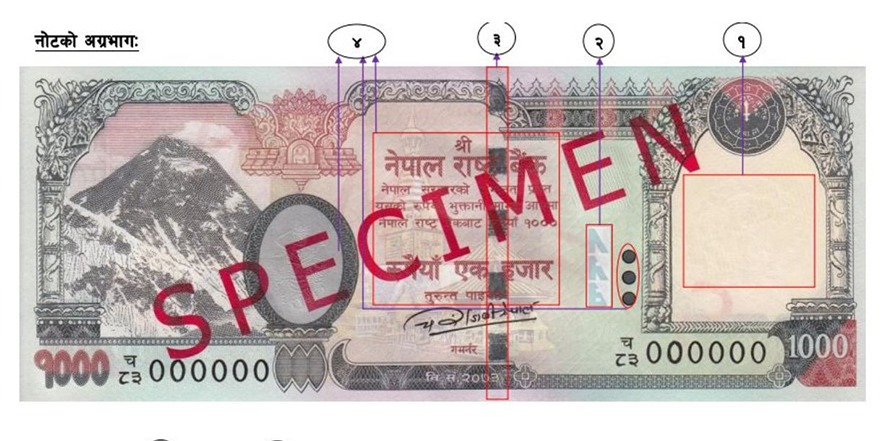 अब हजारको नोटमा नेपालकै जुम्ल्याहा हात्ती, २६ अर्बको नयाँ नोट बजारमा