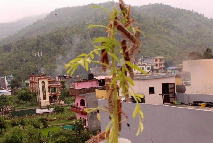 पानी परेपछि सलहको जोखिम कम हुने