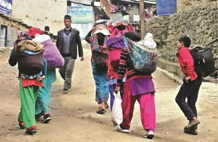 आफ्नो उत्पादन बेच्न २ घण्टा हिँडेर बजार खोज्दै किसान