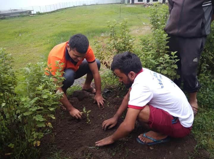 मनोज, झपेन्द्र र सुरेन्द्रको स्मृतिमा फलफुल विरुवा रोपण