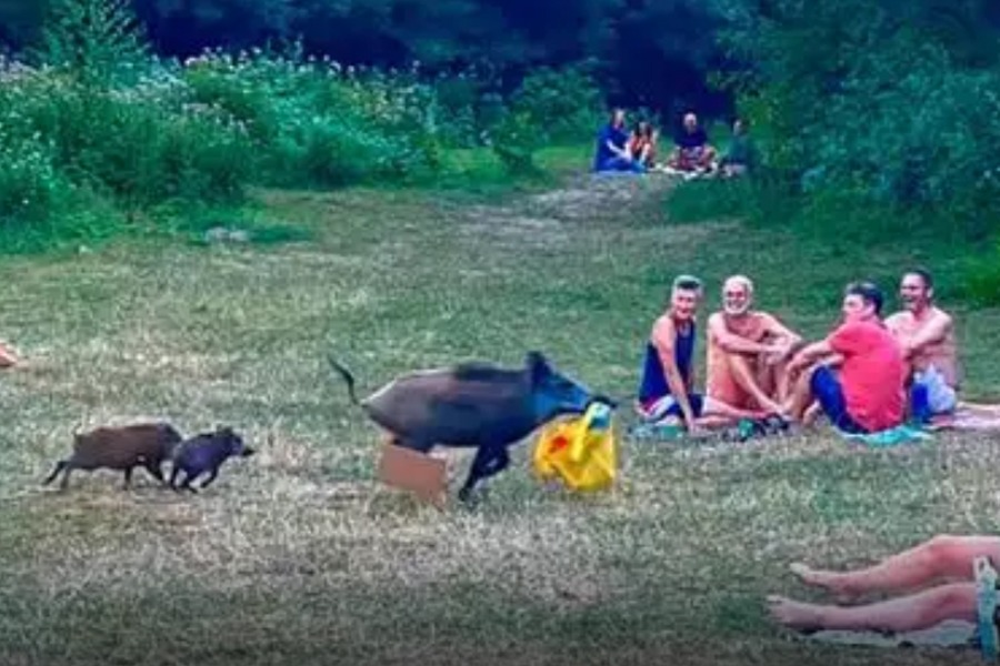 मारिने भयो ल्यापटप चोर्ने चर्चित बँदेल