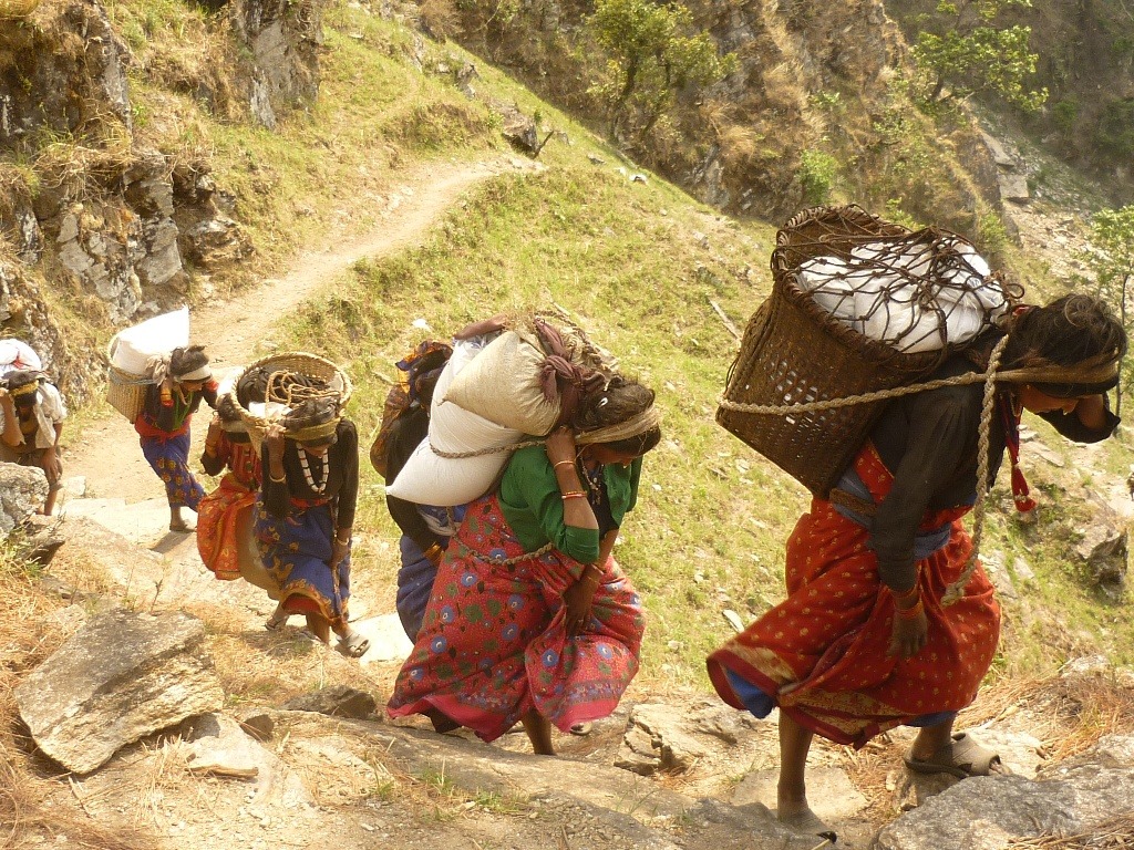 बाजुराको पूर्वाेत्तर क्षेत्रमा खाद्य संकट सुरु
