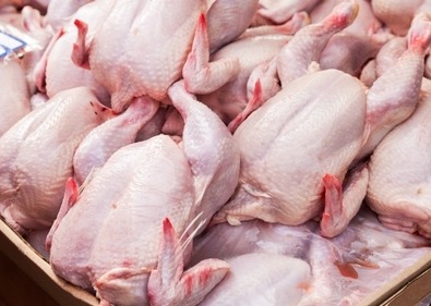 मरेको कुखुराको मासु बेच्नेलाई विभागले गरायो तीन लाख जरिवाना