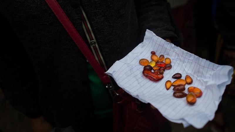 वैज्ञानिकद्वारा विश्वकै पुरानो वीर्य फेला