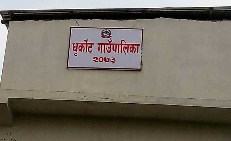 किसानका तितौरादेखि मुलाको चानासम्म किनिदिने गाउँपालिका