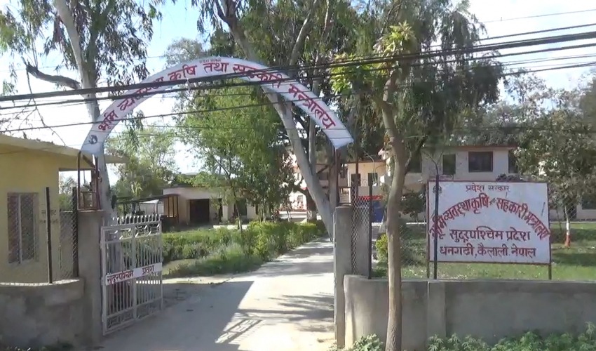 सुदूरपश्चिममा ९ हजार युवालाई स्वरोजगार बनाउने सरकारको योजना