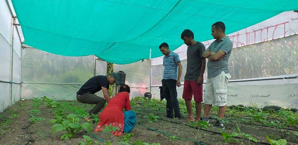 स्वदेशमै गरि खानेलाई यही माटो चलाए पुग्छ – सहायक प्रजिअ भण्डारी