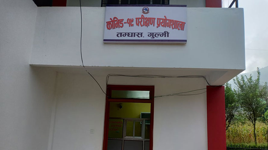 गुल्मीमा ६३३ जनाले जिते कोरोना