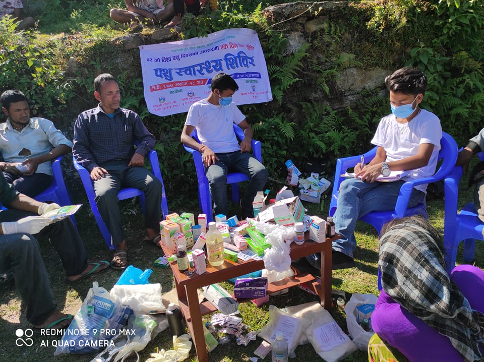 नि:शुल्क पशु स्वास्थ्य शिविरमा ७ सय पशुपन्छीको उपचार