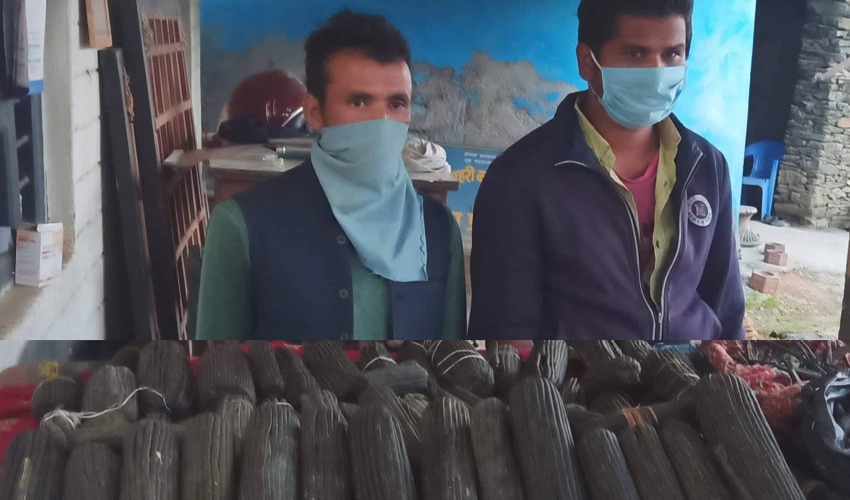 २५ किलो चरेससहित बझाङबाट दुई जना पक्राउ