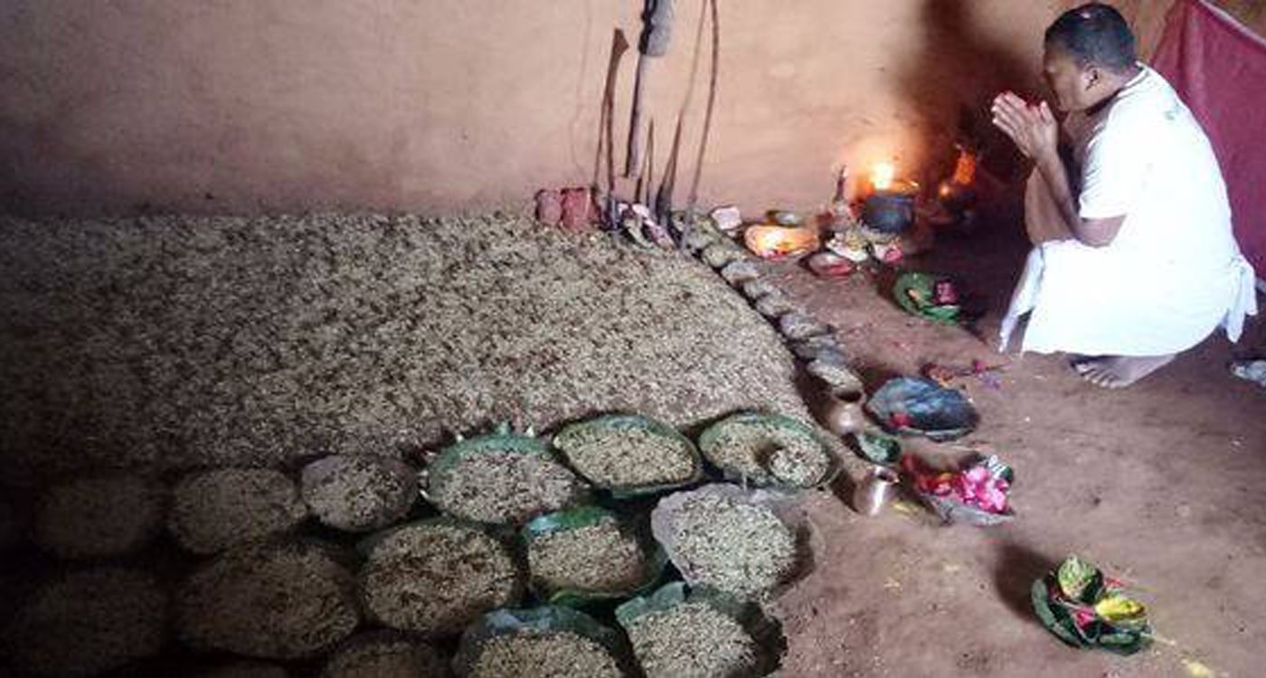 छुवाछुत नियन्त्रणका लागि १३६ घरधुरीको एकै ठाउँमा जमरा राखे