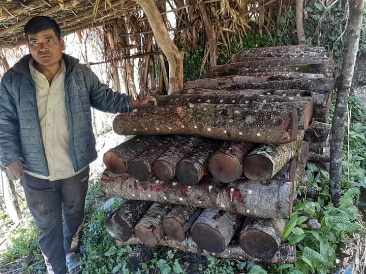 बाजुरामा पहिलो पटक सिताके च्याउ उत्पादन