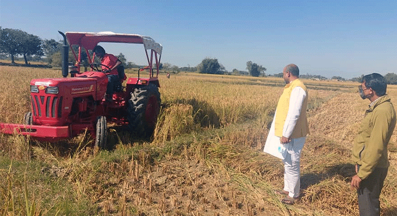 किसानको धान गाउँपालिकाले निःशुल्क काटिदिने