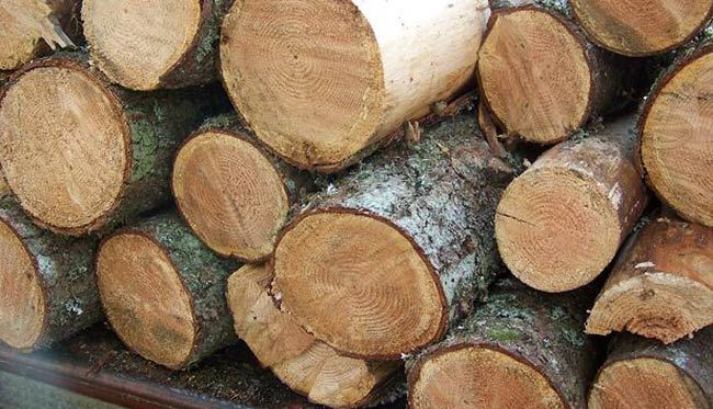 मध्यपहाडी सडक आयोजनाको गाडी काठ तस्करीमा