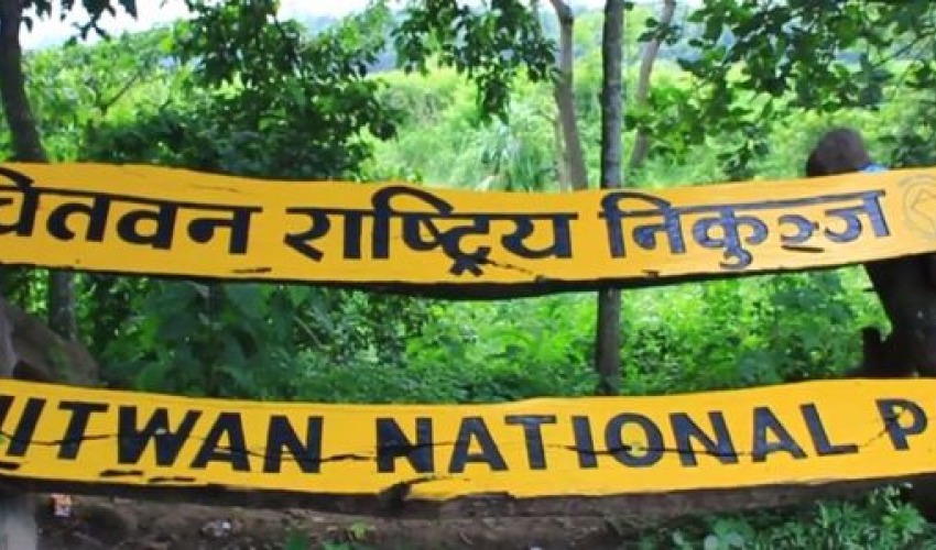 राष्ट्रिय निकुञ्जमा हात्ती र गैँडाको बच्चा मरे