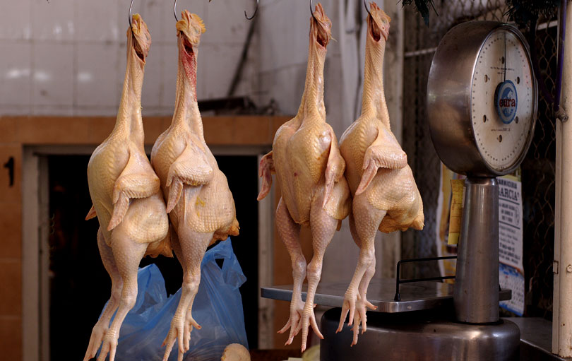 मासु राम्रोसँग पकाएर मात्र खान चिकित्सकको सुझाव