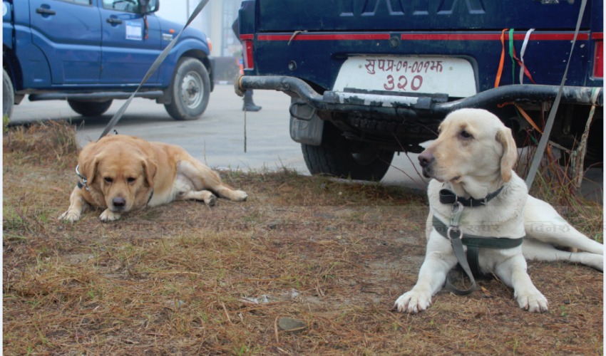 धनगढीमा प्रधानमन्त्रीको सुरक्षार्थ खटाइए ‘राजारानी’