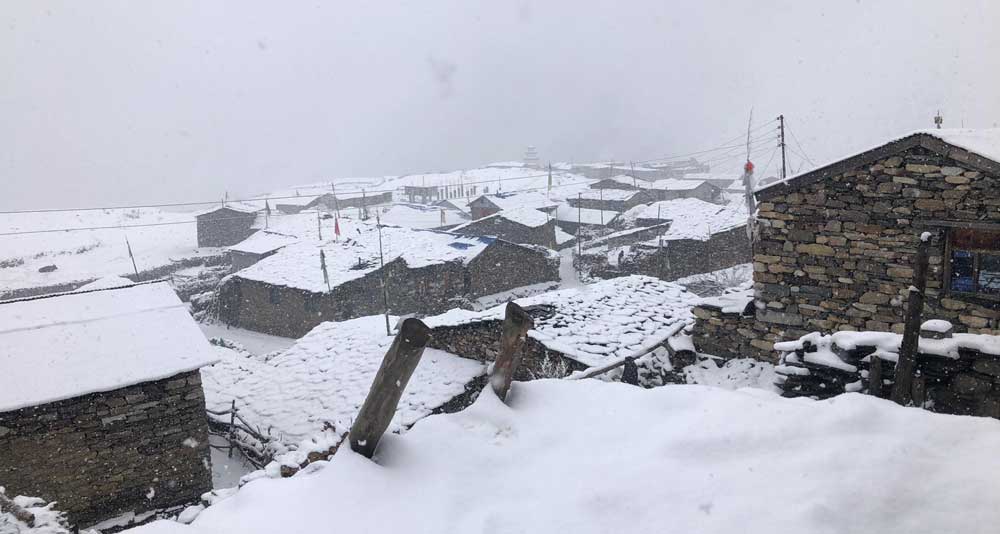 चैतमा भएको हिमपात र वर्षाले किसानलाई राहत