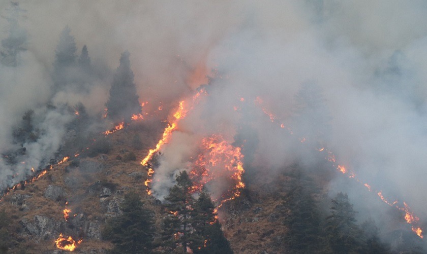 जंगलमा लागेकाे डढेलाेले जलेर एक महिला घाईते