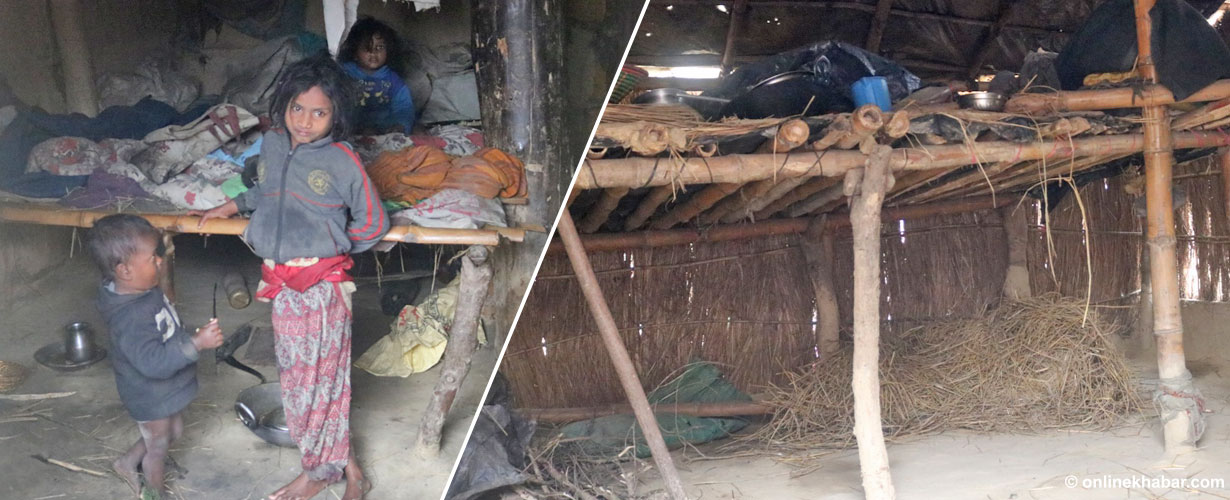 विपन्न बस्तीमा शीतलहर : परालको ओछ्यान, परालकै ओढ्ने