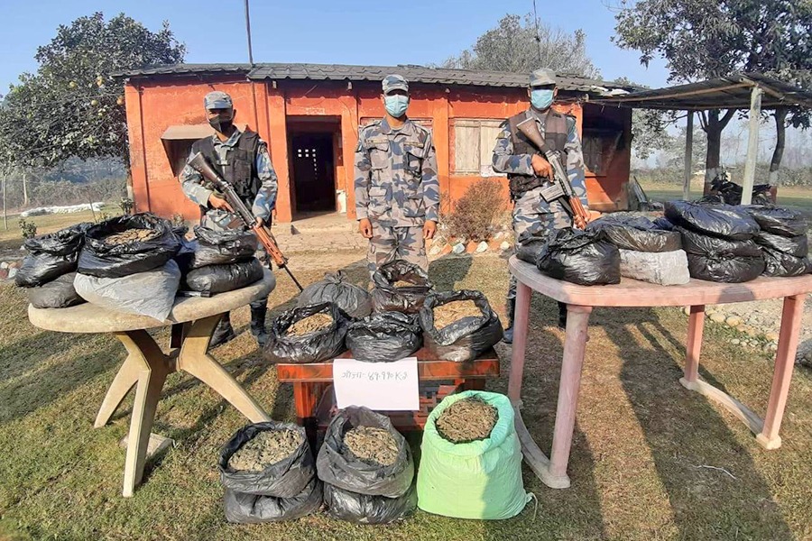 सप्तरीमा ४१ किलो गाँजा बरामद
