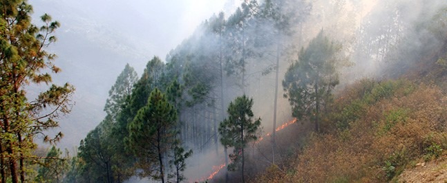 डढेलो बस्तीमा पस्दा चार घर जलेर नष्ट
