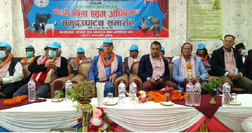 ओलीलाई एक मिनेट पनि प्रधानमन्त्रीको कुर्सीमा बस्ने हैसियत छैन: गगन थापा