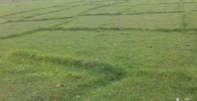 सिङ्गो गाउँकै पुर्जा अरुको नाममा