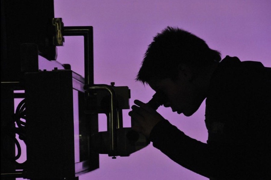 जनावरको कोखबाट मानिसको जन्म ! जापानमा हुँदैछ अनुसन्धान