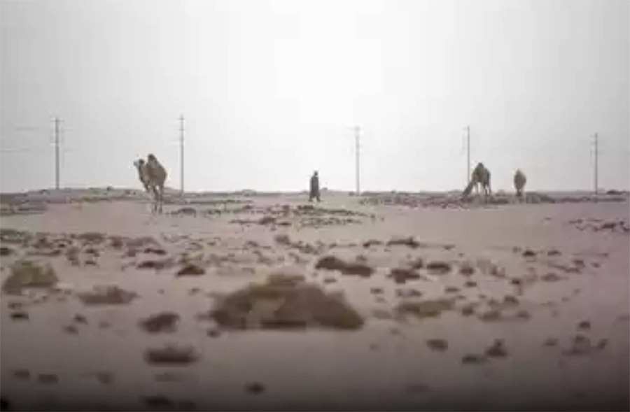 गर्लफ्रेण्डलाई गिफ्ट दिन उँट चोरेपछि…