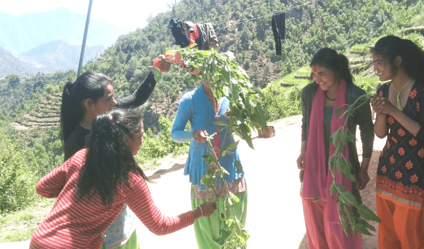 सुदूरपश्चिममा उल्लासपूर्वक ‘बिसु’ पर्व मनाइँदै