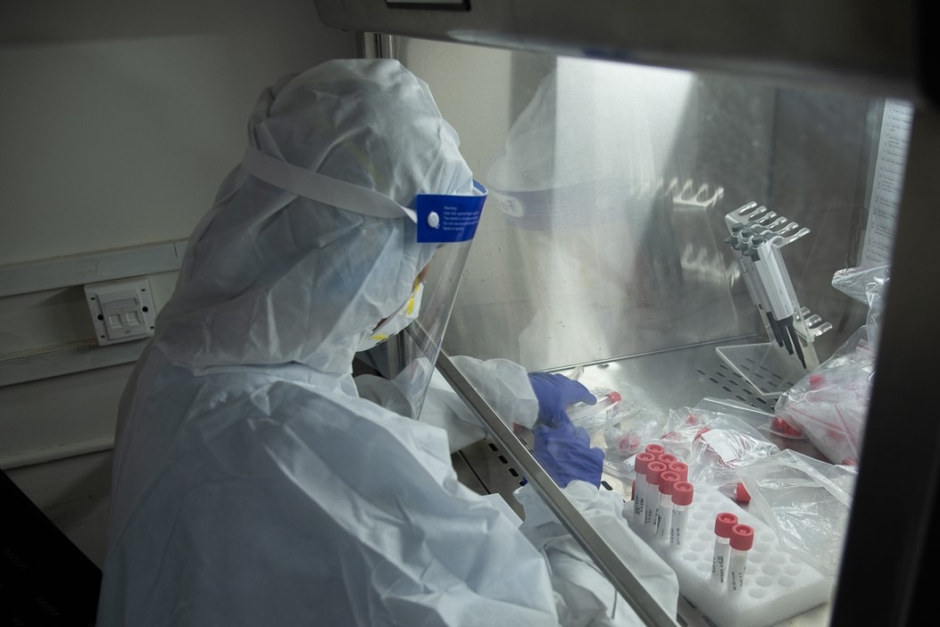 थप ५४२ जनामा कोरोना संक्रमण, ४२१ संक्रमणमुक्त