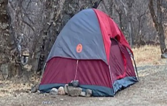 ६ महिनासम्म घाँस खाएर बाँचिन् हराएकी महिला !