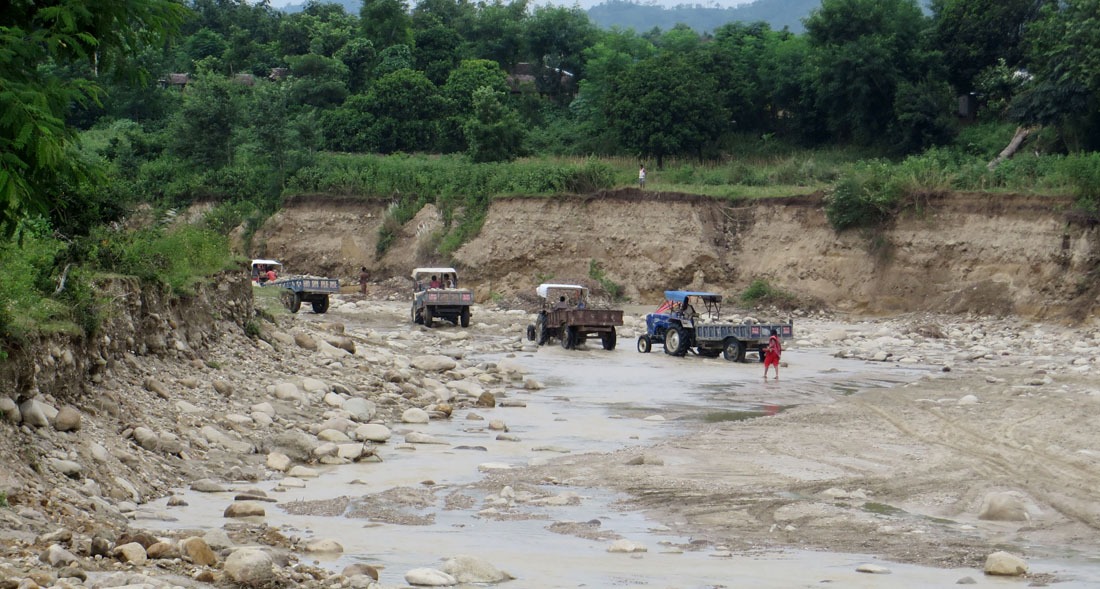 सुदूरपश्चिम प्रदेशमा चुरे दोहन भयावह