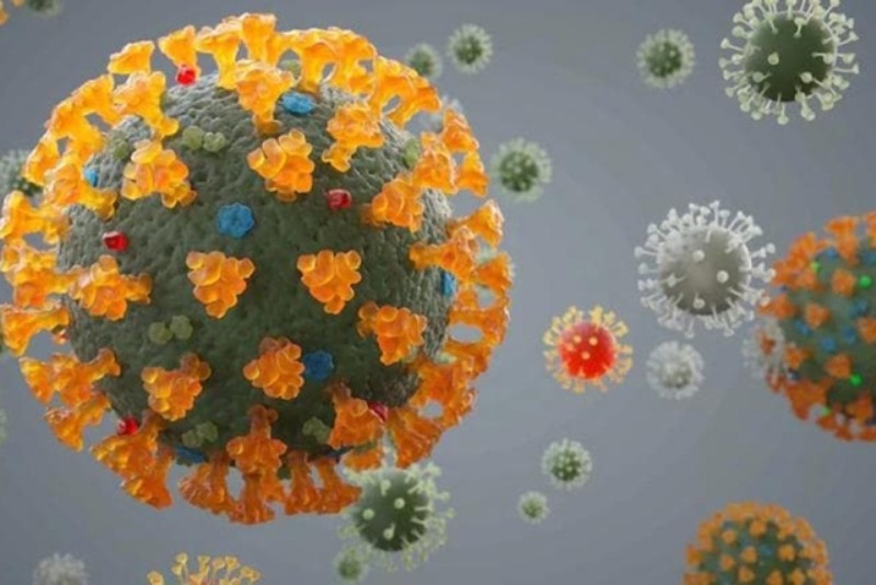 थप १६ जनामा कोरोना पुष्टि