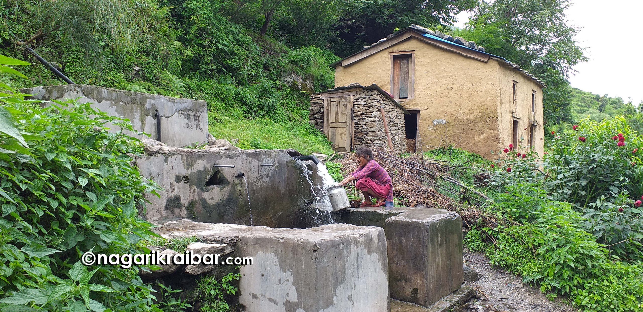 रतुडाको दलितबस्तीका स्थानीय सिँचाई कुलोको पानी पिउँदै