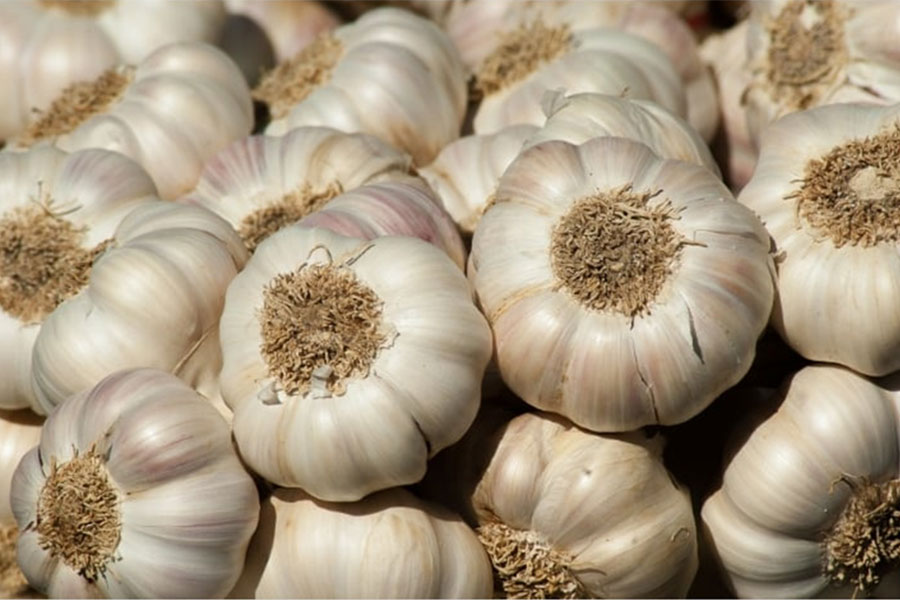 चुनवाङमा यसवर्ष लसुनबाट भित्रियो ४० लाख